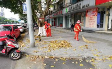 清扫活动心得体会7篇