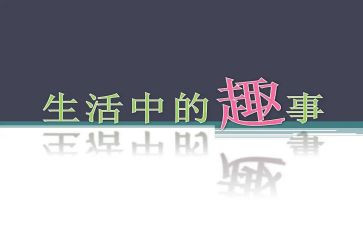 元旦趣事的作文最新5篇