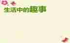端午趣事作文8篇