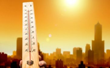 夏天热幼儿教案8篇