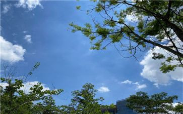 描写炎热的夏天的作文参考6篇