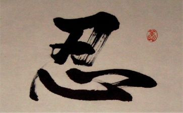 忍者猪观后感5篇
