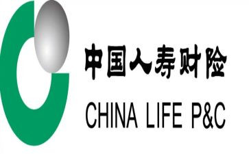 中国人寿综合柜员岗工作总结5篇