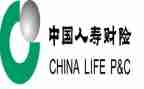 中国人寿综合柜员岗工作总结5篇