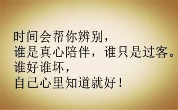2024年教师作风整顿个人心得体会5篇