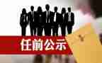 教师任职以来专业技术工作总结5篇