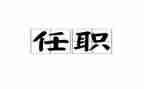 个人任职工作总结5篇