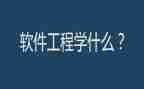 软件工程师试用期工作总结模板6篇