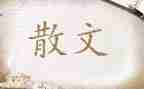 关于亲情散文的作文7篇