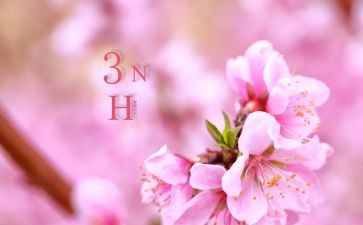 三月的思想汇报6篇