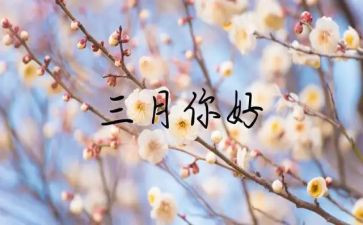 2024年三月工作总结5篇