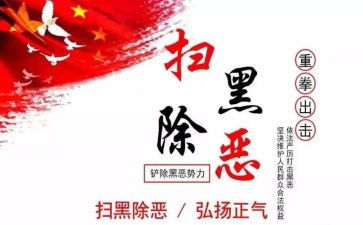 扫黑除恶年度工作总结5篇