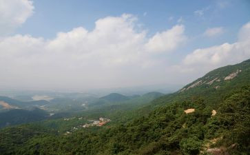 山林权承包合同6篇
