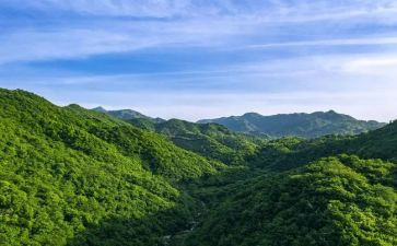 浮来山作文300字最新5篇