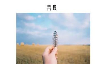 慈善协会申请书6篇