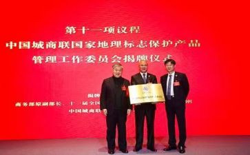 县工商联2024年工作总结5篇