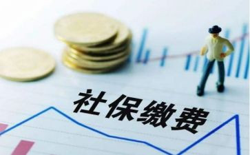 社保所社保工作总结范文5篇