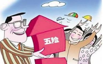 社保员的工作计划优秀5篇