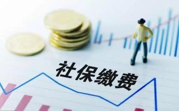 社保员的工作计划模板7篇