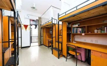 2024年宿舍管理员工作总结模板5篇