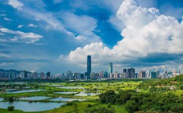 2024年深圳房屋租赁合同6篇
