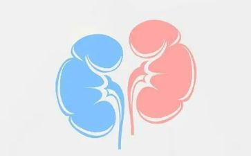 肾内科护士年终工作总结参考8篇