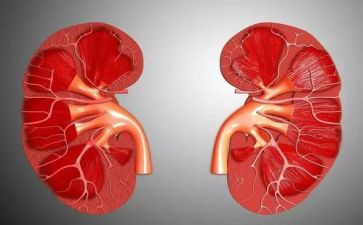 医院肾内科先进科室事迹材料8篇