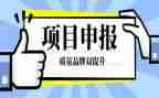 职称申报个人述职报告6篇