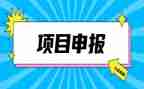 教师申报高级述职报告模板6篇