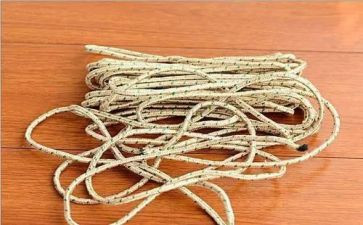 跳绳活动的总结5篇