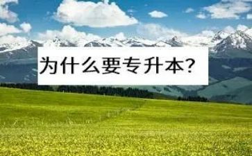 自我鉴定专升本500字5篇