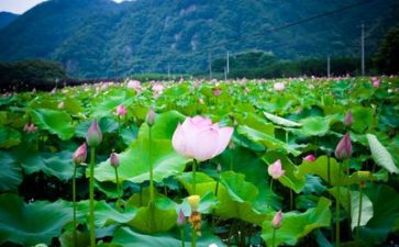 生活和工作总结优秀6篇