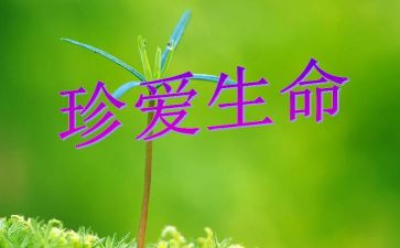 讲生命的演讲稿模板8篇