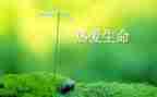 我生命作文500字优秀7篇
