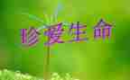 讲生命的演讲稿模板8篇