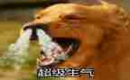 我生气了作文500字7篇