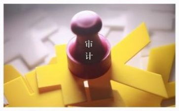 2024年高校审计工作总结6篇