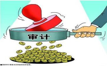 2023审计局年度工作总结5篇