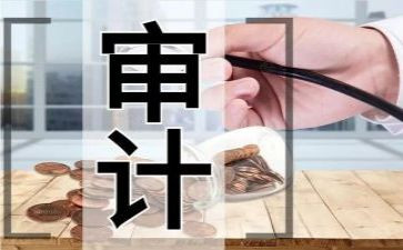 2024年审计工作述职报告7篇