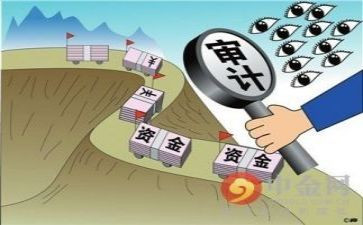 审计所工作计划模板5篇