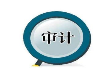 审计干部述职报告范文5篇