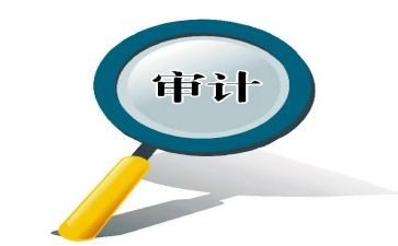 审计站工作计划通用5篇