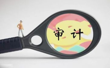 审计所工作计划通用7篇