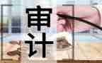 2024年审计工作述职报告7篇