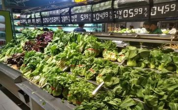银的市场调查报告模板7篇