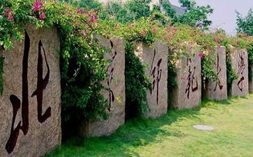 北师大八上教学计划8篇