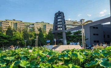师大培训心得体会5篇