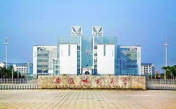 师范类个人总结精选5篇