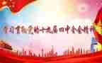 十九届四中精神心得体会7篇