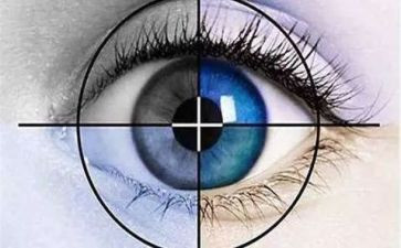 幼儿园视力活动方案8篇